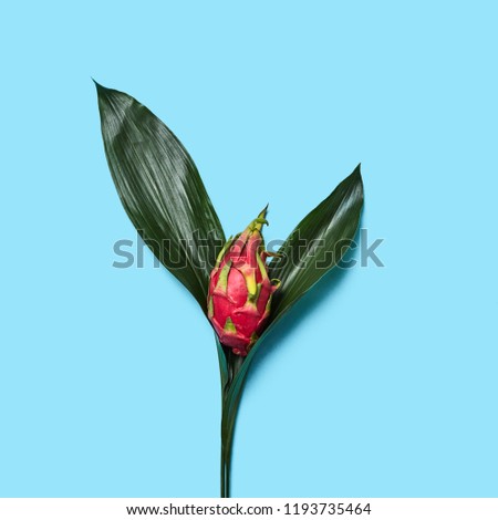 Stock fotó: Fresh Green Leaves And Tropical Fruit Pitahaya In The Form Of A Flower On A Blue Background With Cop