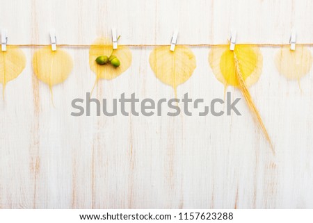 Foto stock: Oak Branch With Acorns Hanging On Clothesline On Abstract Backgr