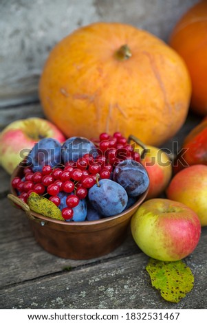 Foto d'archivio: Fresh Organic Plums In Copper Bowl And On Rustic Wooden Cutting Board