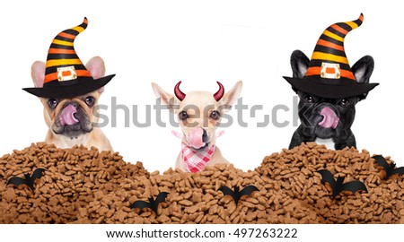 Zdjęcia stock: Halloween Devil Dog Hungry For Food