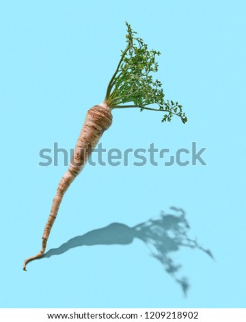 Stok fotoğraf: Fresh Root With Parschkin Leaves Against Blue Background With Reflection Of Shadow And Copy Space S