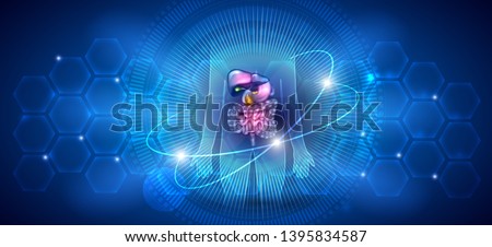 Stock photo: Gastrointestinal Tract Liver Stomach And Other Surrounding Org