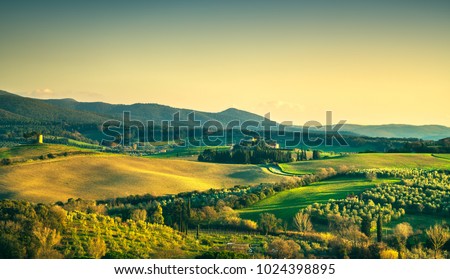 Сток-фото: Tuscany Maremma Sunset Landscape Rural Tower And Tree On Hill