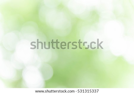 [[stock_photo]]: Green Branch Of A Tree On Abstract Background With Bokeh Effect