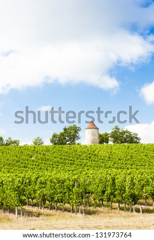 Foto stock: Vineyard With Windmill Near Ribagnac Dordogne Department Aquit