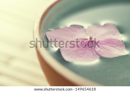 Сток-фото: Close Up Of Flowers Floating In Bowl Of Water