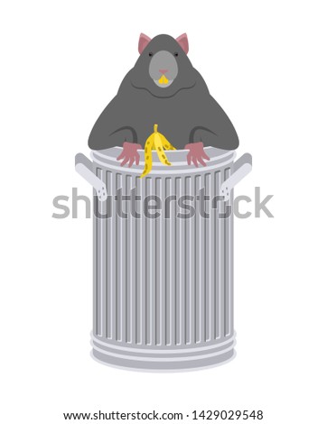 [[stock_photo]]: Rat In Garbage Can Rodent In Trash Big Mouse In Dumpster Vect