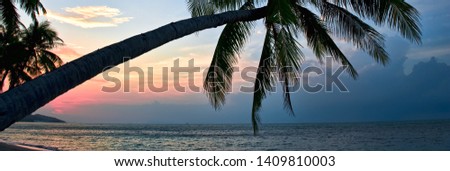 Foto stock: Silhouette Of Palm Tree Lush Foliage Leaning Over Beach During I