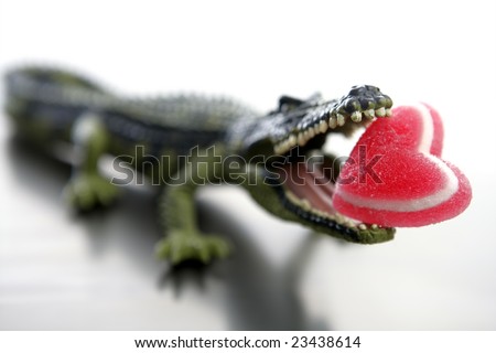 [[stock_photo]]: Ouet · Cocodrile · Aligator · avec · Candy · Valentine · coeur · rouge · dans · ses · mâchoires