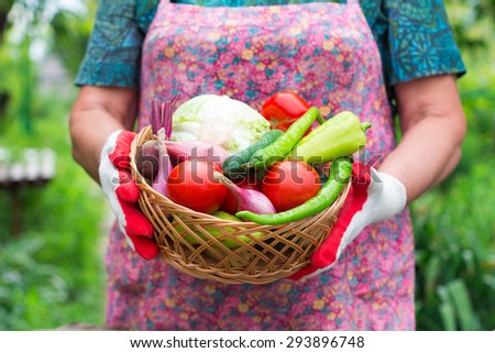 [[stock_photo]]: Unrecognizable Woman Holding Basket Full Of Vegetables And Bread
