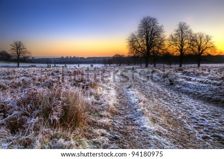 Zdjęcia stock: Frosty Winter Landscape Across Field Towards Vibrant Sunrise Sky