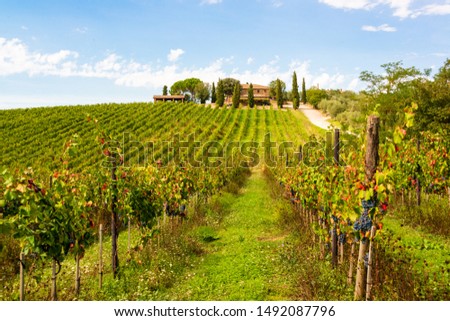 Stock photo: Chianti In Tuscany