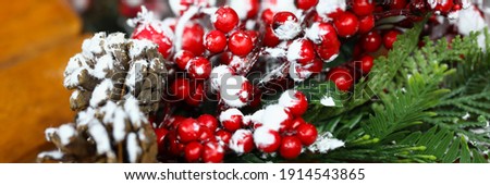 Stockfoto: A Twig Of Mountain Ash And Pine Branch With Cone On Snow Backgro