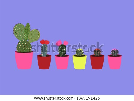 Stock photo: Small Cactus Plant