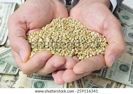 Buckwheat Seeds And Dollar Banknotes Depicting The Agribusiness Foto stock © nito