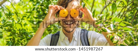 Stok fotoğraf: Man With Manlarinas On A Tangerine Plantation Banner Long Format