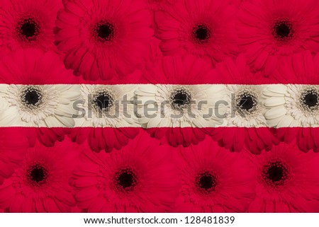 Stylized National Flag Of Latvia With Gerbera Flowers [[stock_photo]] © vepar5