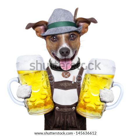 Stock foto: Bavarian Beer Dog