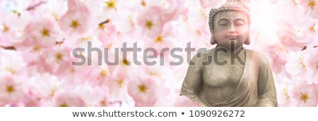 Foto stock: Zen Buddha Meditating Under Cherry Blossom Trees