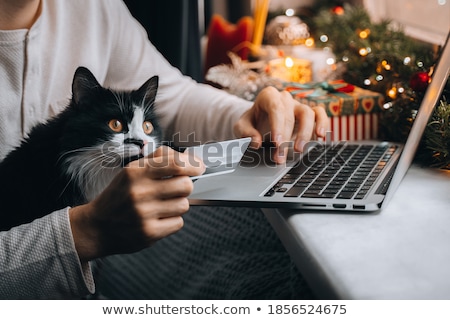 Stock fotó: Onsumer · Cat