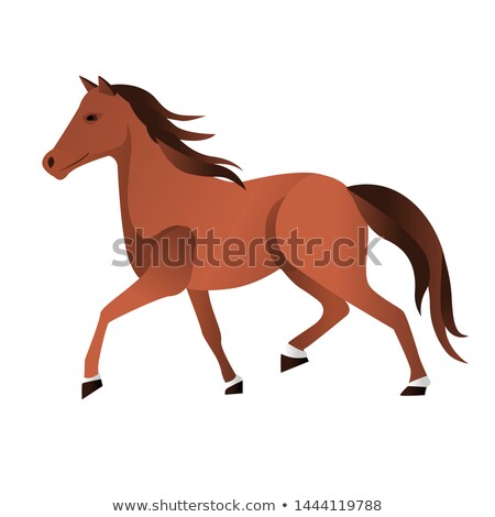 Stock photo: Thoroughbred Brown Cock