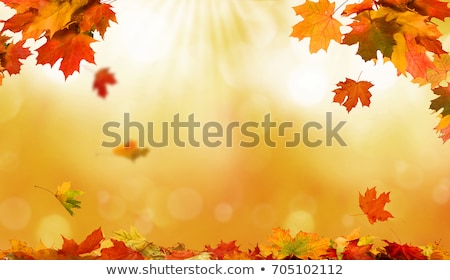 Сток-фото: Detail Of Autumnal Tree Leaf