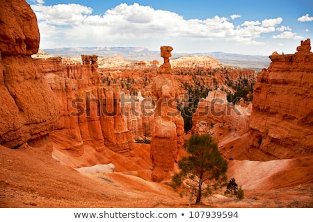 Stock fotó: Bryce Canyon With Spectacular Hoodoos