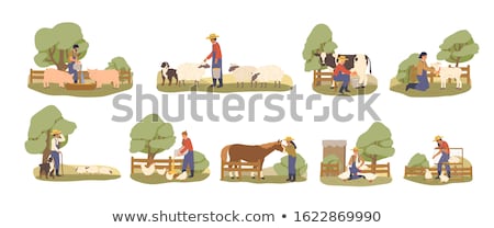 Stock fotó: Farmer Man Feeding The Hens