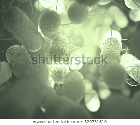 Foto stock: Enterobacteriaceae Bacteria Family