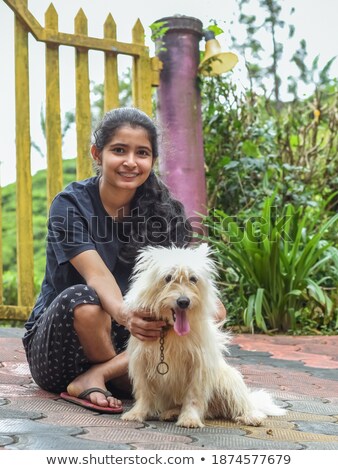 Stock photo: Young Pomeranian Dog And Teen