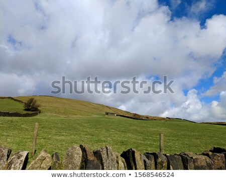 Stock foto: Mossy White Valley And Stone Valley Blue Sky