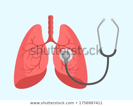 Stok fotoğraf: A Human Anatomy Of Lung Disease