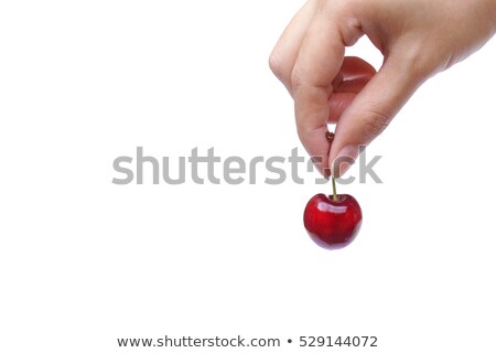 Zdjęcia stock: Hands Holding Cherries