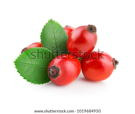 Foto d'archivio: Pink Rose Hip Petals With Leaves