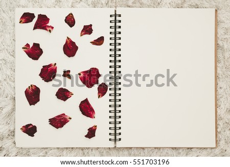 Foto d'archivio: Old Photo Album With Beautiful Dried Rose Isolated On A White Ba