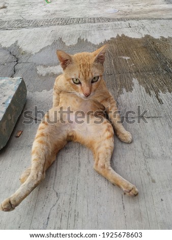 [[stock_photo]]: Dont Look At Me Like That