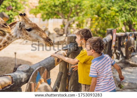 Zdjęcia stock: Happy Boys Watching And Feeding Giraffe In Zoo They Having Fun With Animals Safari Park On Warm Sum