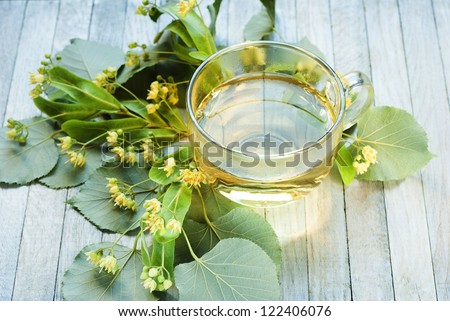 Stock photo: Fresh Hot Lime Blossom Tea