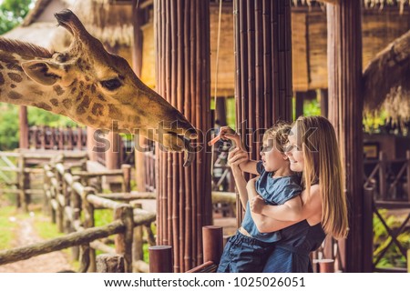 Foto stock: Happy Mother And Son Watching And Feeding Giraffe In Zoo Happy Family Having Fun With Animals Safar