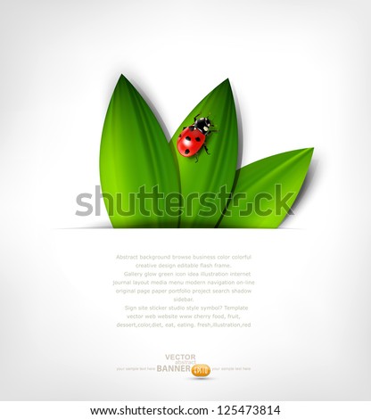 Vector Grey Background With Leafs And Ladybird ストックフォト © Alkestida