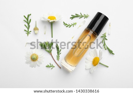 Stock foto: Bottle With Essence Oil And Chamomile Flowers Isolated On White