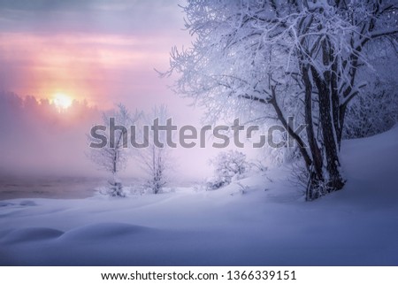 Stockfoto: Winter Foggy Day