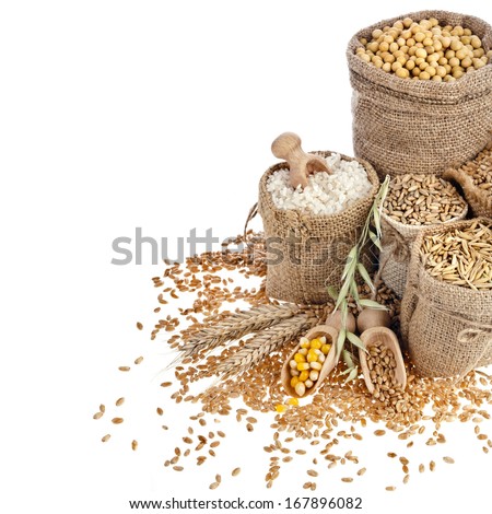 Stock fotó: Whole Grain Oat Porridge