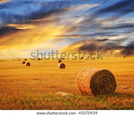 Foto stock: Rural Landscape Image Of Summer Sunset Over Field Of Hay Bales