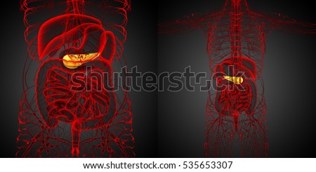 3d Render Medical Illustration Of The Gallblader And Pancrease Imagine de stoc © Maya2008