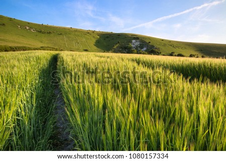 Foto stock: Landscape Image Of Ancient Chalk Carving In Hillside Long Man If