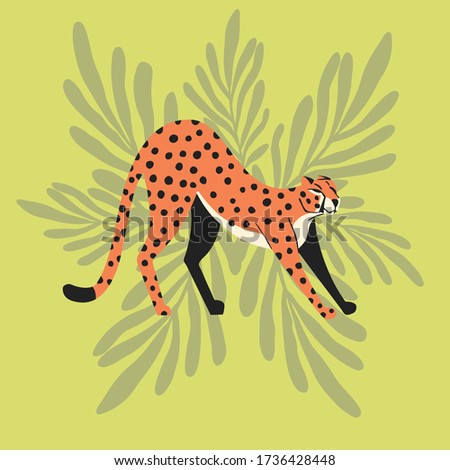 Foto stock: Cute Exotic Wild Big Cat Cheetah Stretching On Mint Green Tropical Background Flat Vector Illustrat