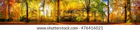 Autumn Landscape Foto stock © Smileus