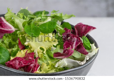 Сток-фото: Fresh Rucola Lettuce