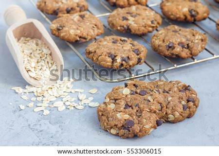 Stockfoto: Flourless Peanut Butter Chocolate Chip Cookies On Baking Sheet